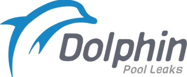 Dolphin Pool Leaks